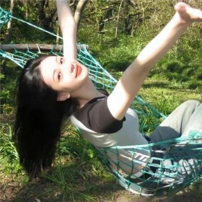 安妮日记：始末