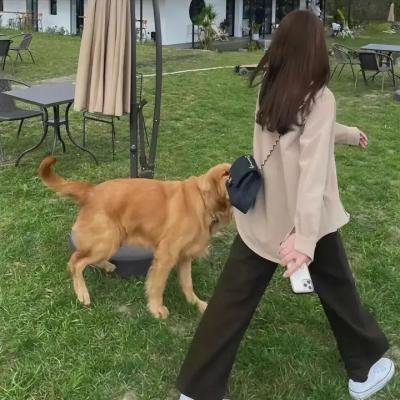 奥尔高索洛的强盗